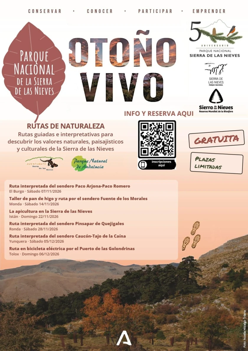Poster for Otoño Vivo: ruta al Pinsapar de Quejigales